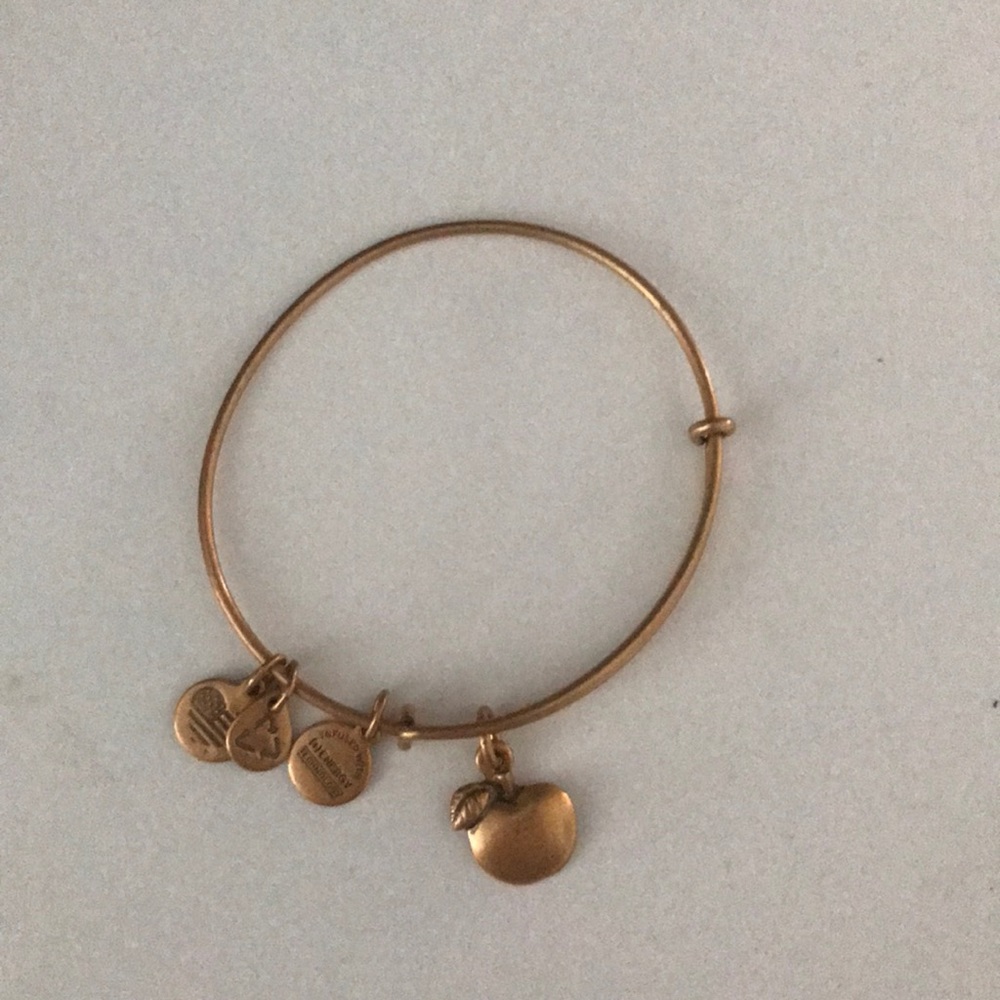 Apple Alex & Ani Bracelet